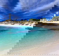 Rottnest Island Grand Tour Including Lunch and Historical Train Ride - Rental Cars