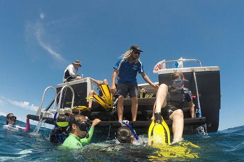 Deluxe WhaleShark Swim Tour On The Ningaloo Reef From Exmouth - Rental Cars 6