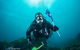 Rottnest Island Scuba Diving From Fremantle - thumb 1