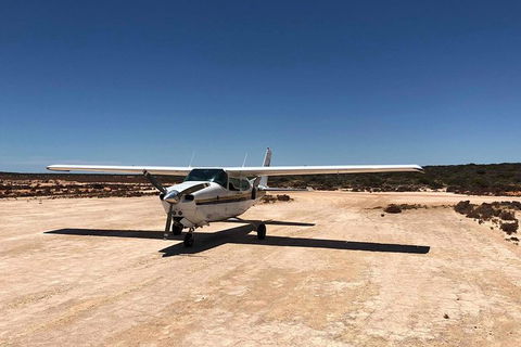Kalbarri Gorges & West Coast - Ground & Air Tour - Rental Cars 6