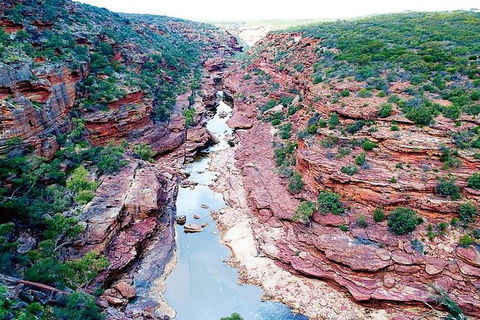 Kalbarri Gorges & West Coast - Ground & Air Tour - Rental Cars 5