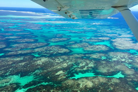 Kalbarri, Pink Lake And Abrolhos Islands Nature Tour - Rental Cars 5