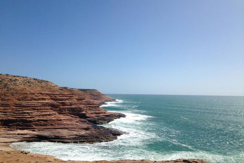 Kalbarri, Pink Lake And Abrolhos Islands Nature Tour - Rental Cars 1