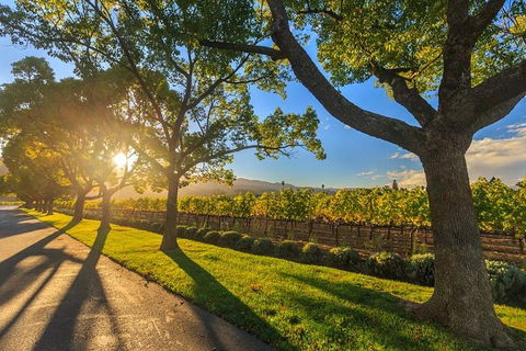 VIP Swan Valley Wine Tour - Premium Small Group Wine & Gourmet Experience - Rental Cars 1