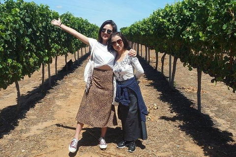 VIP Swan Valley Wine Tour - Premium Small Group Wine & Gourmet Experience - Rental Cars 3