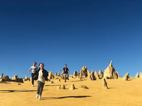 Pinnacles, Lancelin, Yanchep National Park Day Tour (Fish & Chip Lunch) - Rental Cars 0