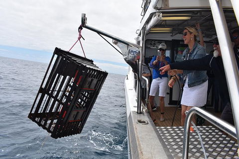Rottnest Island Wild Seafood Package With Round Trip Ferry From Fremantle - Rental Cars 1
