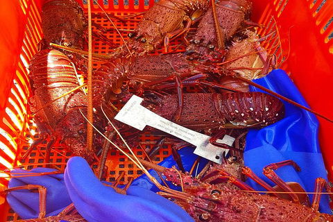 Rottnest Island Wild Seafood Package With Round Trip Ferry From Fremantle - Rental Cars 6
