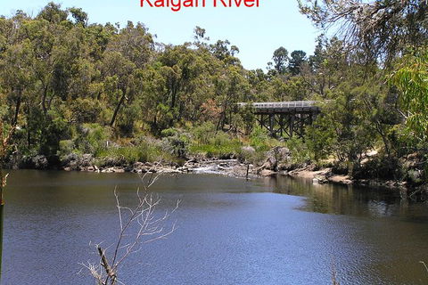 Kalgan Queen Scenic Cruises A Four Hour Sheltered Water Wildlife Tour Daily Fun. - Rental Cars 3