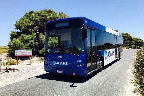 Rottnest Island Bayseeker Day Trip From Perth With Transfer - Rental Cars 0