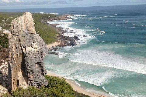 Guided Walks On The Cape To Cape - Redgate Beach To Boranup Forest - Rental Cars 4