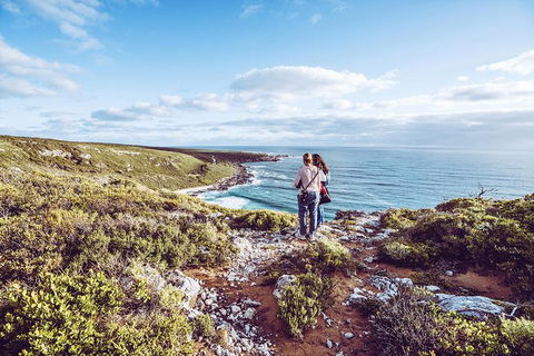 Guided Walks On The Cape To Cape - Redgate Beach To Boranup Forest - Rental Cars 6