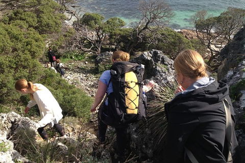 Guided Walks On The Cape To Cape - Redgate Beach To Boranup Forest - Rental Cars 5