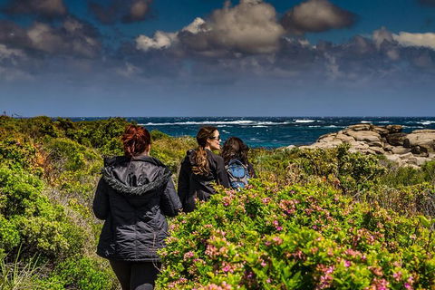 Guided Walks On The Cape To Cape - Redgate Beach To Boranup Forest - Rental Cars 7