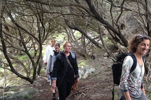 Guided Walks On The Cape To Cape - Redgate Beach To Boranup Forest - Rental Cars 3