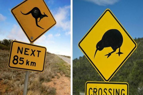Aroha Tangata Australia And New Zealand 20 Day - Rental Cars 0