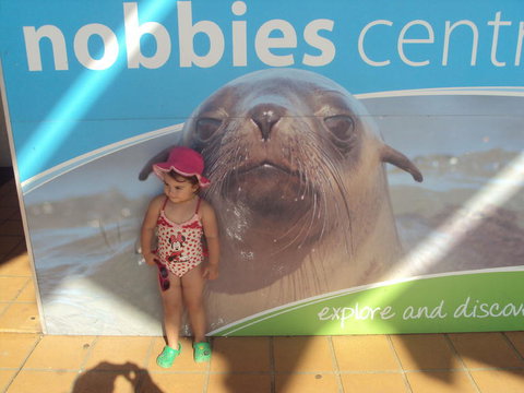 Phillip Island 3 Park Pass: Penguin Parade, Koala Conservation Centre And Penguin Parade, Koala ConservationHeritage Farm - Rental Cars 3