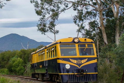 Steam Train, Yarra Valley & Healesville Wildlife Sanctuary Full Day Tour - Rental Cars 3