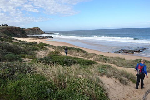 Phillip Island, George Bass Coastal Walk And Penguins Tour - Rental Cars 4