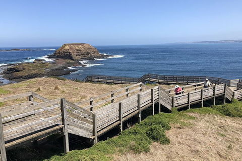 Phillip Island, George Bass Coastal Walk And Penguins Tour - Rental Cars 7