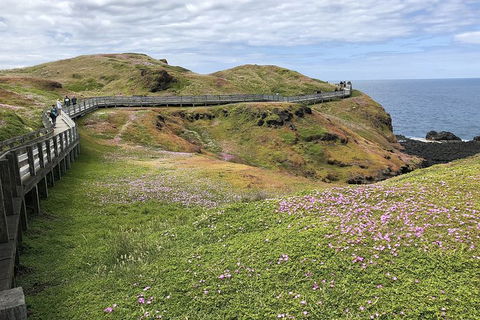 Phillip Island, George Bass Coastal Walk And Penguins Tour - Rental Cars 6