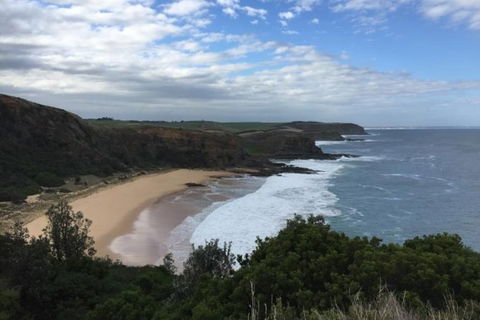 Phillip Island, George Bass Coastal Walk And Penguins Tour - Rental Cars 2