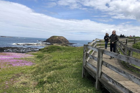 Phillip Island, George Bass Coastal Walk And Penguins Tour - Rental Cars 12