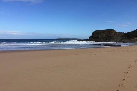 Phillip Island, George Bass Coastal Walk And Penguins Tour - Rental Cars 8
