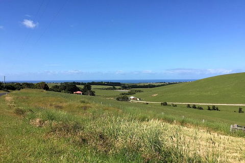 Phillip Island, George Bass Coastal Walk And Penguins Tour - Rental Cars 10