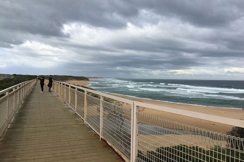 Phillip Island, George Bass Coastal Walk And Penguins Tour - Rental Cars 11