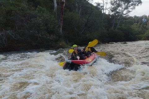White-Water Kayaking On The Yarra River - Rental Cars 5