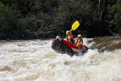 White-Water Kayaking On The Yarra River - Rental Cars 6