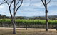 Small Public Car Yarra Valley Scenic Tour 2 Course Lunch, Wine, Cheese - thumb 1