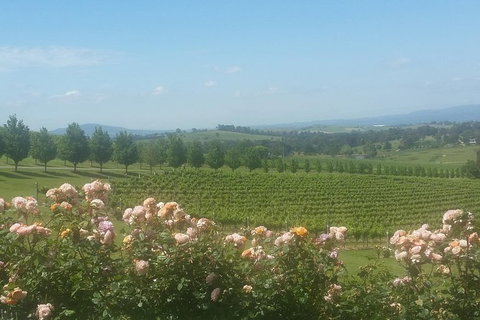 Ultimate Mornington Peninsula Food And Wine Small Group Tour - Rental Cars 0