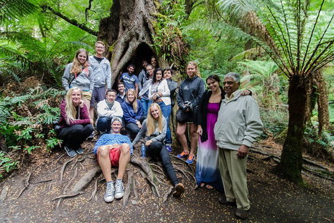 Great Ocean Road And Grampians 2 Day Short Break Escape From Melbourne - Rental Cars 5