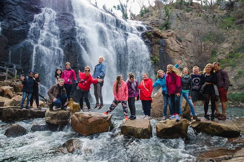 Great Ocean Road And Grampians 2 Day Short Break Escape From Melbourne - Rental Cars 4