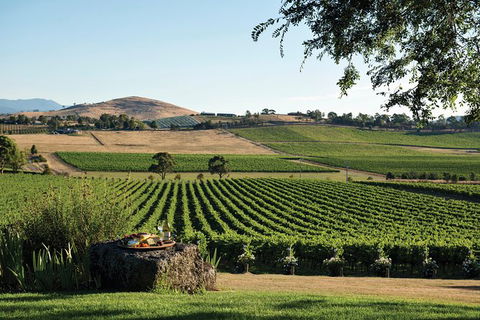 Small Group 6 Guests: Ultimate Yarra Valley Food And Wine - Mercedes Van - Rental Cars 5