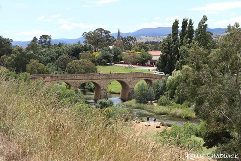 Mt Wellington And Richmond Historical Village Discounted Combo Tour - Rental Cars 1