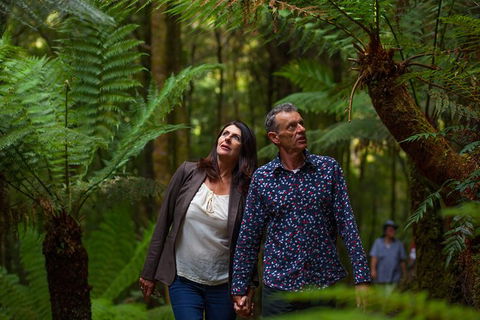 West Coast Wilderness Railway: River And Rainforest From Strahan - Rental Cars 1