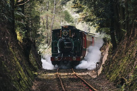 West Coast Wilderness Railway: River And Rainforest From Strahan - Rental Cars 2
