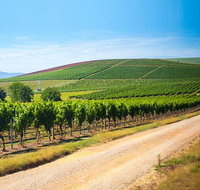 Full Day Tamar Valley Wine Tour - Rental Cars