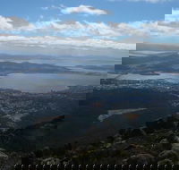 Mount Wellington Tour from Hobart - Rental Cars