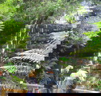 Mt Field National Park and Russell Falls from Hobart - Rental Cars