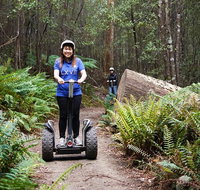 Hollybank Wilderness Adventures - Segway Tour - Rental Cars