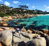 4-Day Tasmania East Coast Adventure from Launceston to Hobart Including Bay of Fires Wineglass Bay Bruny Island and Port Arthu - Rental Cars