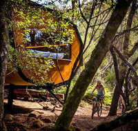 Blue Derby Pods Ride Experience 3-Day Mountain Bike Adventure in Exclusive Pods - Rental Cars