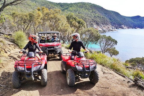 Quad Bike 2-Hour Adventure: Freycinet National Park - Rental Cars 2