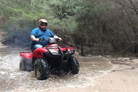 Quad Bike 2-Hour Adventure: Freycinet National Park - Rental Cars 6