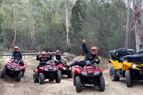 Quad Bike 2-Hour Adventure: Freycinet National Park - Rental Cars 4