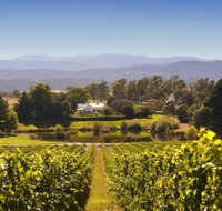Josef Chromy Wines Winery Tour Including Tasting and Lunch - Rental Cars